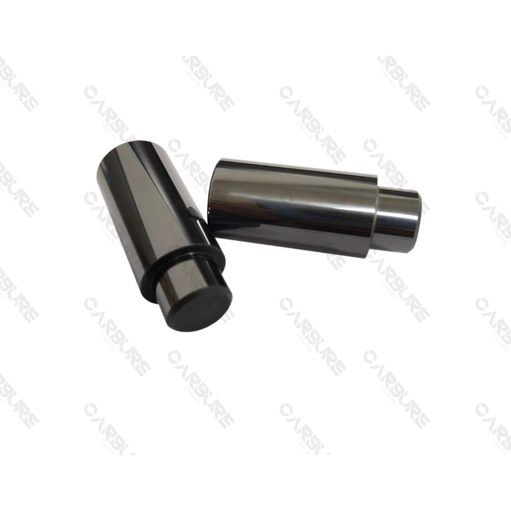 tungsten carbide solid plungers