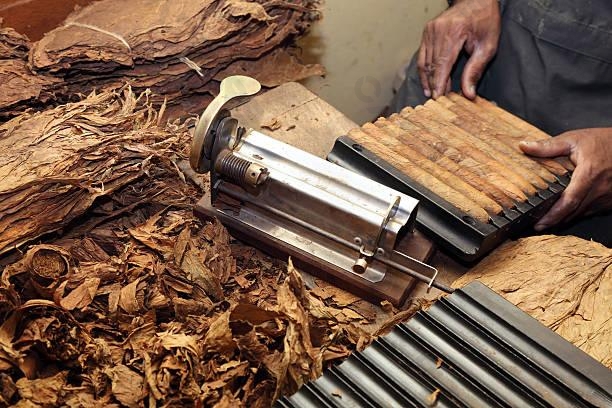 Cigar making